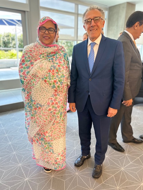 Meeting between H.E Cisse Cheikh Boide, Ambassador of Mauritania to the United States of America, and Smail Chikhoune, Chairman & President of Washington Insight Group